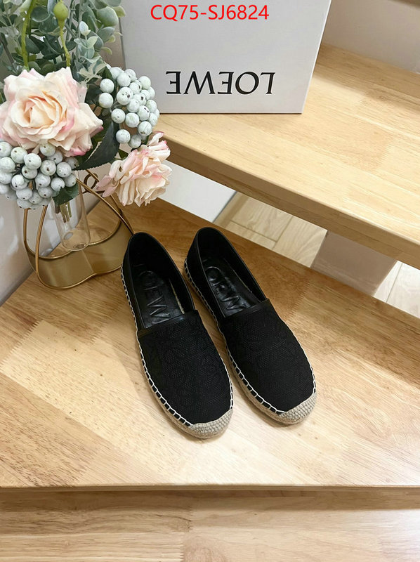 Women Shoes-Loewe best like ID: SJ6824 $: 75USD