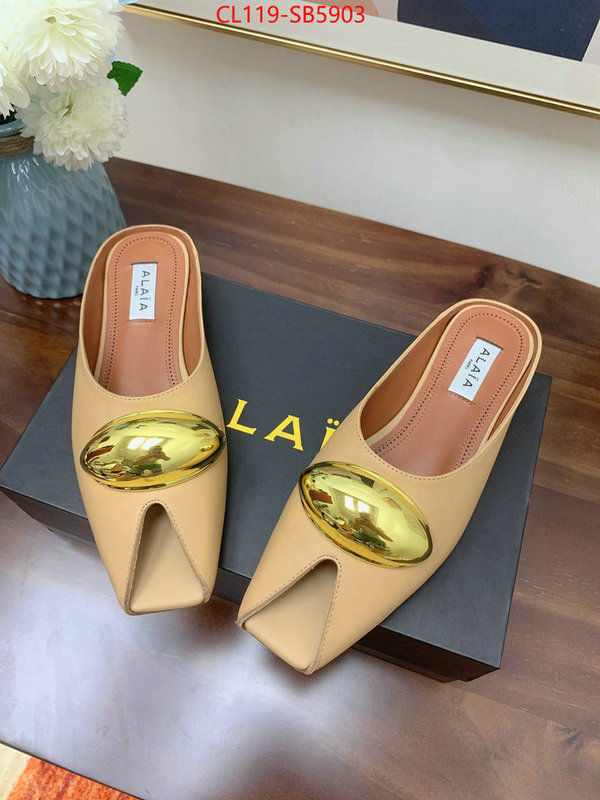 Women Shoes-ALAIA knockoff highest quality ID: SB5903 $: 119USD