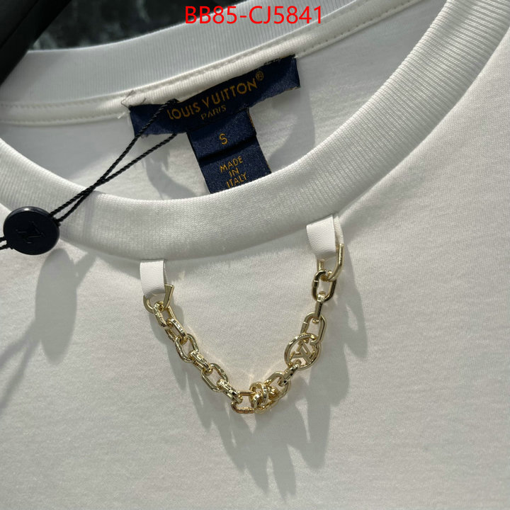 Clothing-LV china sale ID: CJ5841 $: 85USD