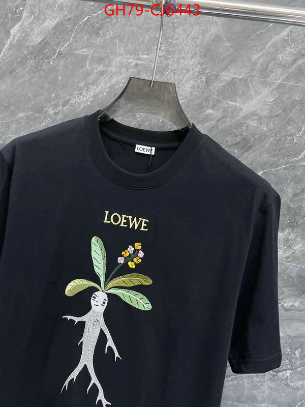 Clothing-Loewe perfect ID: CJ6443 $: 79USD