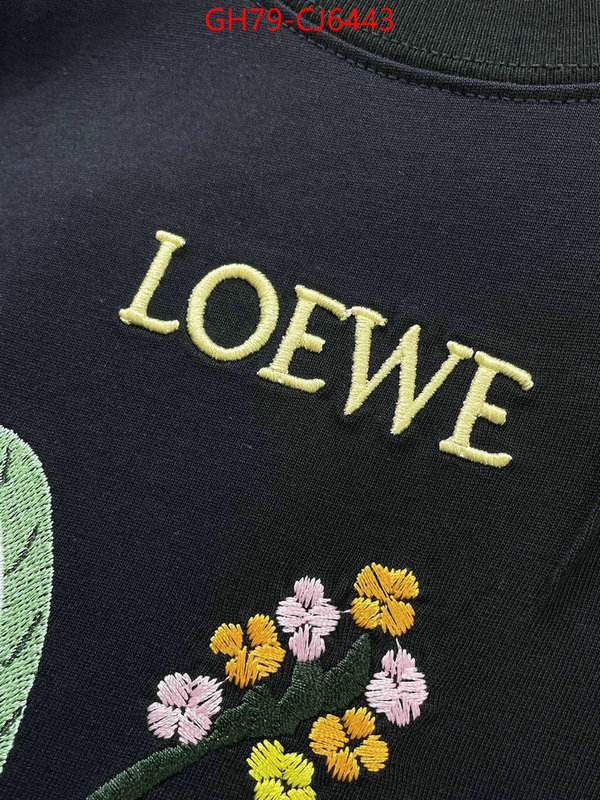 Clothing-Loewe perfect ID: CJ6443 $: 79USD