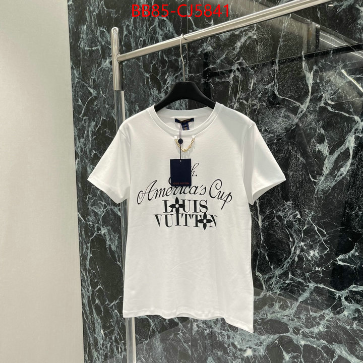 Clothing-LV china sale ID: CJ5841 $: 85USD