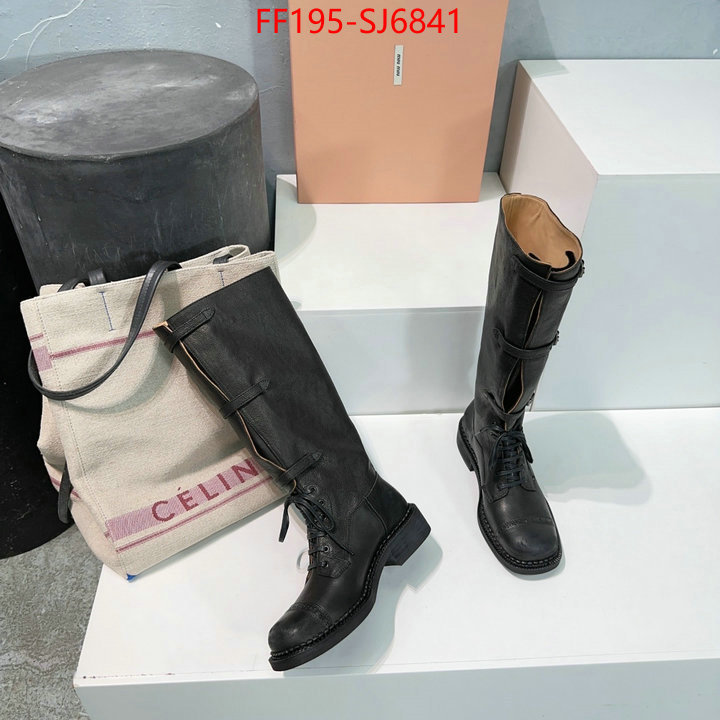 Women Shoes-Boots wholesale replica shop ID: SJ6841 $: 195USD