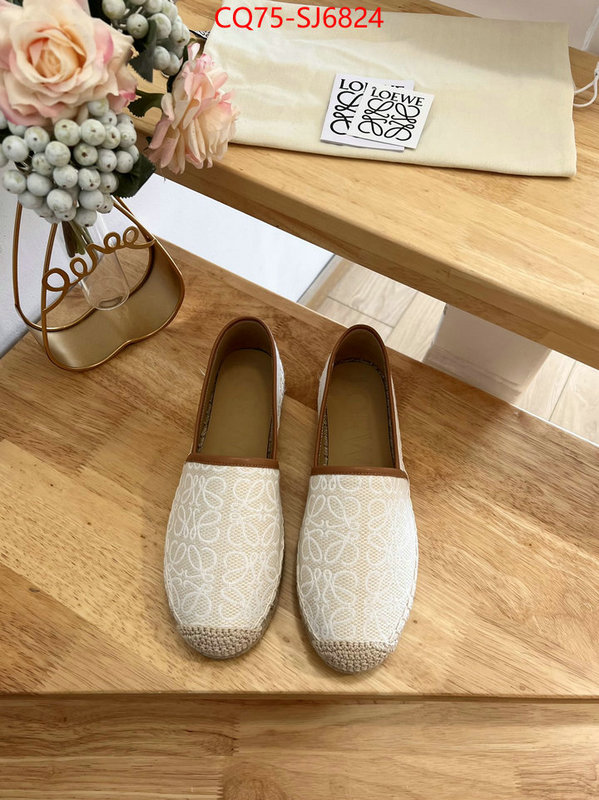 Women Shoes-Loewe best like ID: SJ6824 $: 75USD