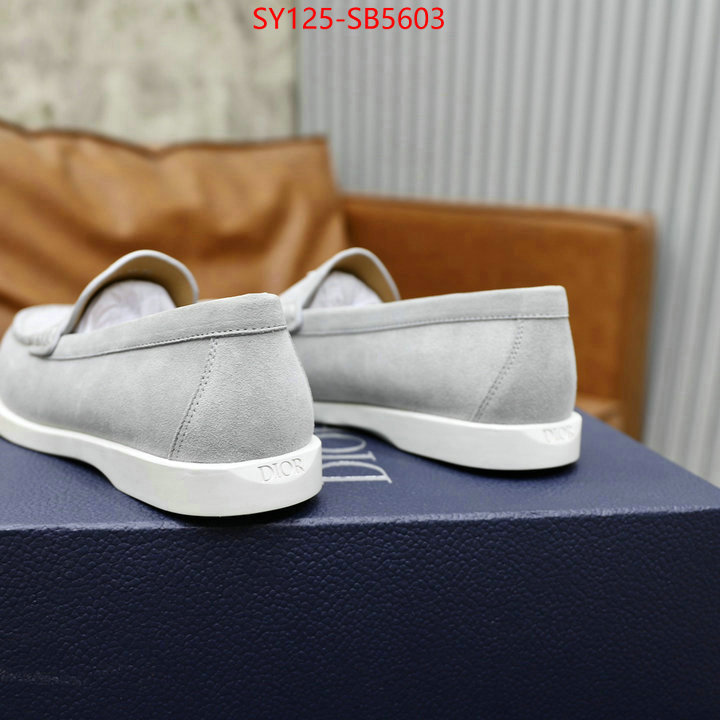 Men shoes-Dior replcia cheap ID: SB5603 $: 125USD