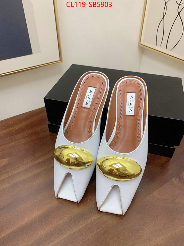 Women Shoes-ALAIA knockoff highest quality ID: SB5903 $: 119USD