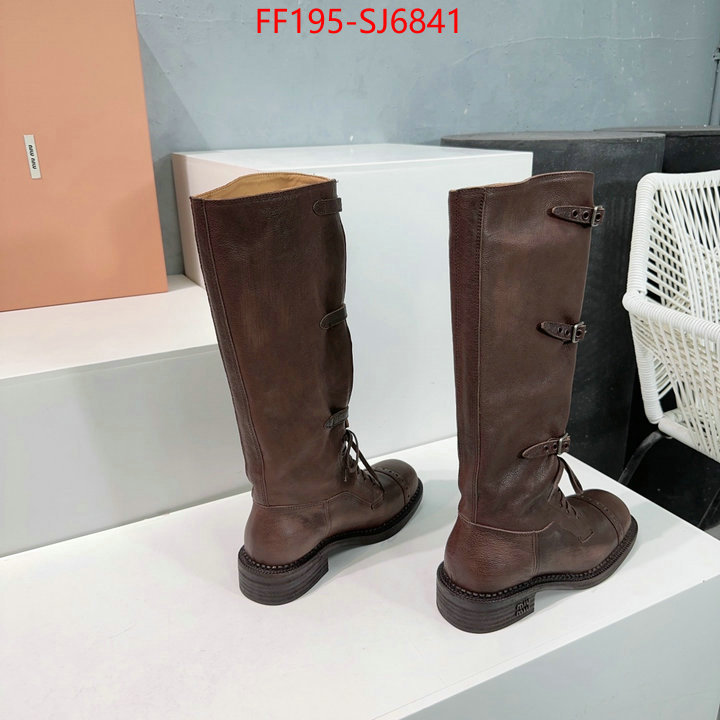 Women Shoes-Boots wholesale replica shop ID: SJ6841 $: 195USD