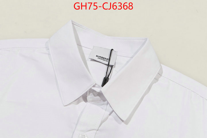 Clothing-Burberry the online shopping ID: CJ6368 $: 75USD