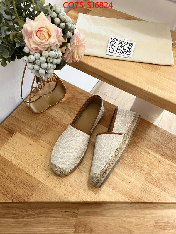 Women Shoes-Loewe best like ID: SJ6824 $: 75USD