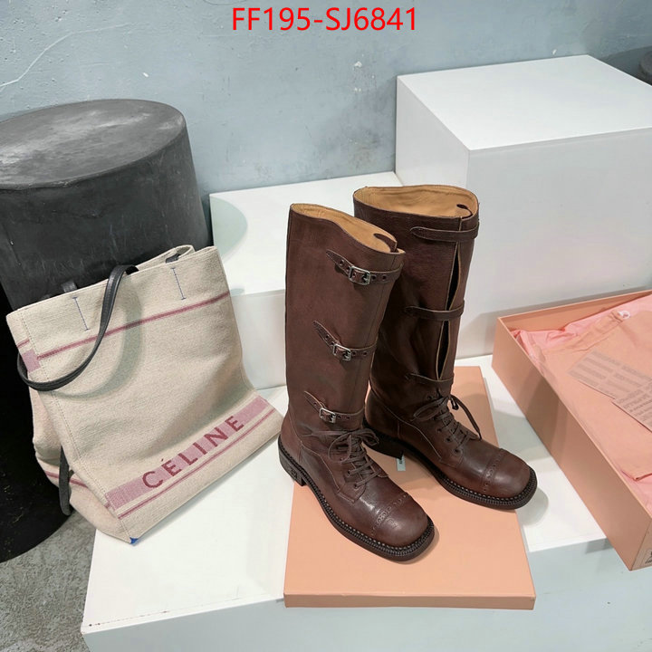 Women Shoes-Boots wholesale replica shop ID: SJ6841 $: 195USD