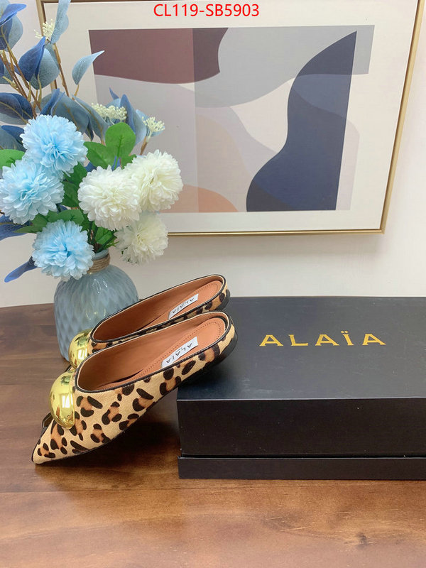 Women Shoes-ALAIA knockoff highest quality ID: SB5903 $: 119USD