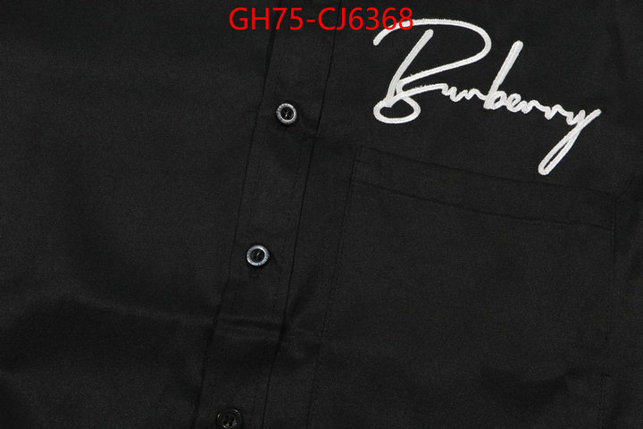 Clothing-Burberry the online shopping ID: CJ6368 $: 75USD