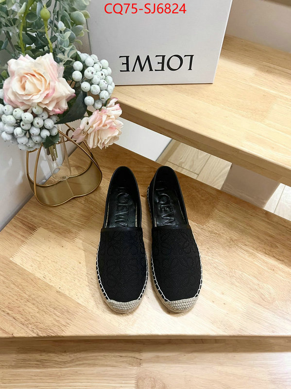 Women Shoes-Loewe best like ID: SJ6824 $: 75USD