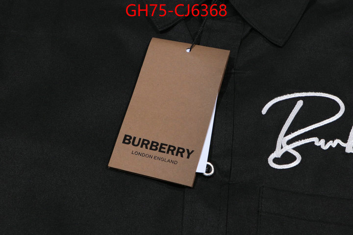 Clothing-Burberry the online shopping ID: CJ6368 $: 75USD