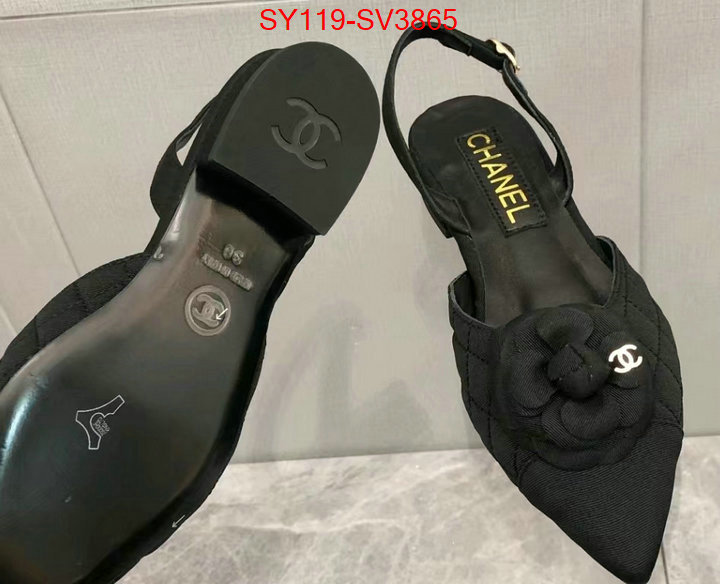 Women Shoes-Chanel mirror quality ID: SV3865 $: 119USD