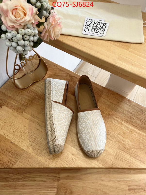 Women Shoes-Loewe best like ID: SJ6824 $: 75USD