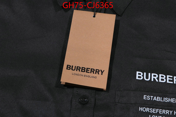 Clothing-Burberry aaaaa+ replica designer ID: CJ6365 $: 75USD