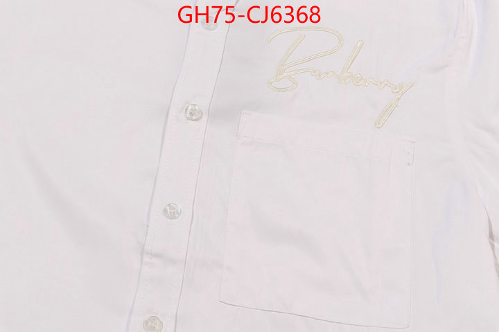 Clothing-Burberry the online shopping ID: CJ6368 $: 75USD