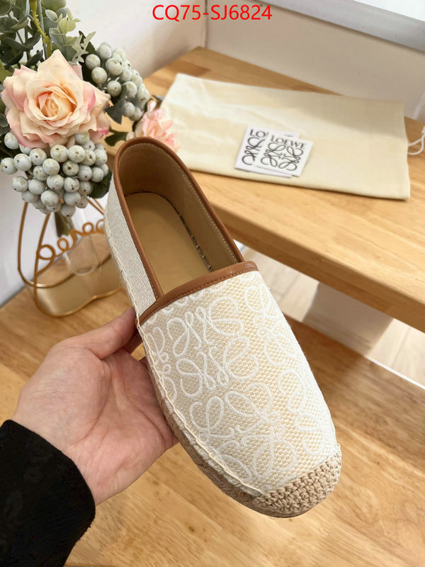 Women Shoes-Loewe best like ID: SJ6824 $: 75USD