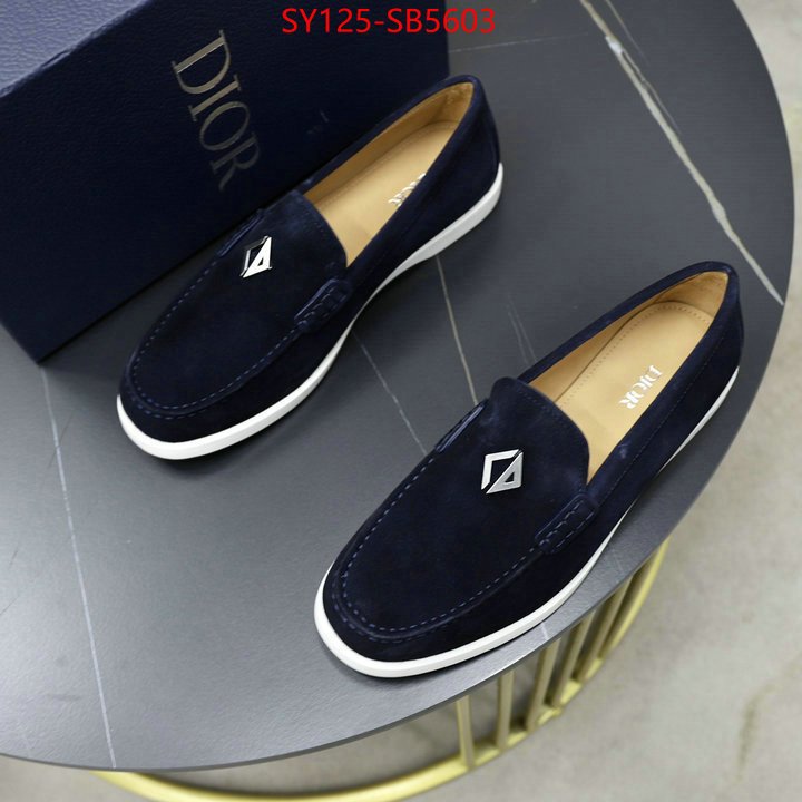 Men shoes-Dior replcia cheap ID: SB5603 $: 125USD