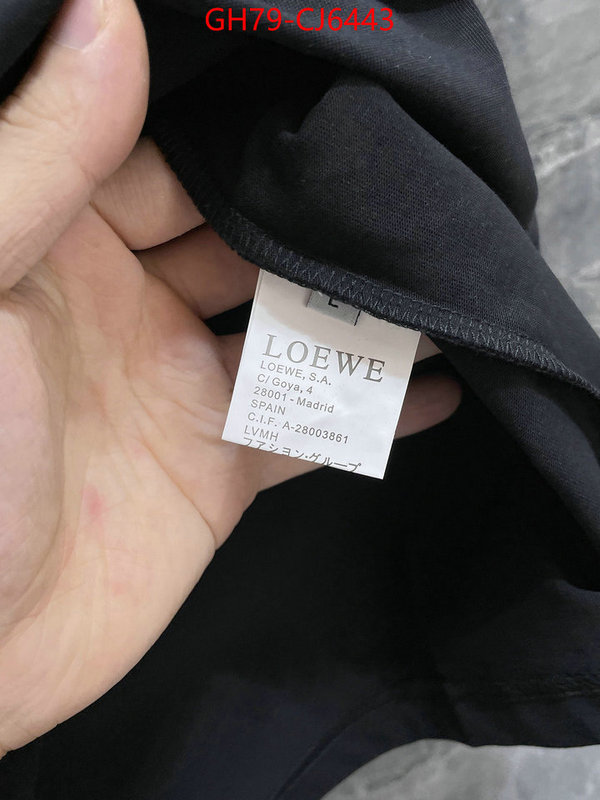 Clothing-Loewe perfect ID: CJ6443 $: 79USD