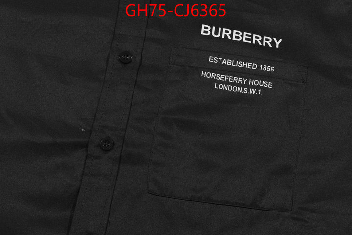 Clothing-Burberry aaaaa+ replica designer ID: CJ6365 $: 75USD