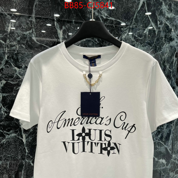 Clothing-LV china sale ID: CJ5841 $: 85USD