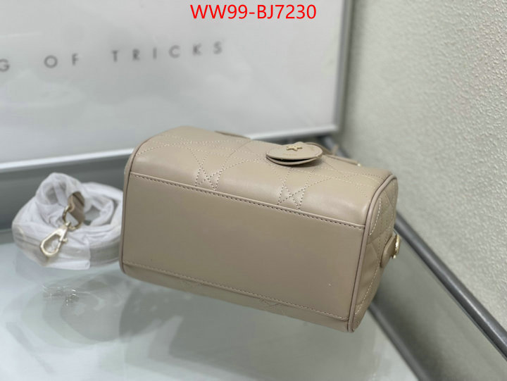 Dior Bags(4A)-Other Style- new designer replica ID: BJ7230