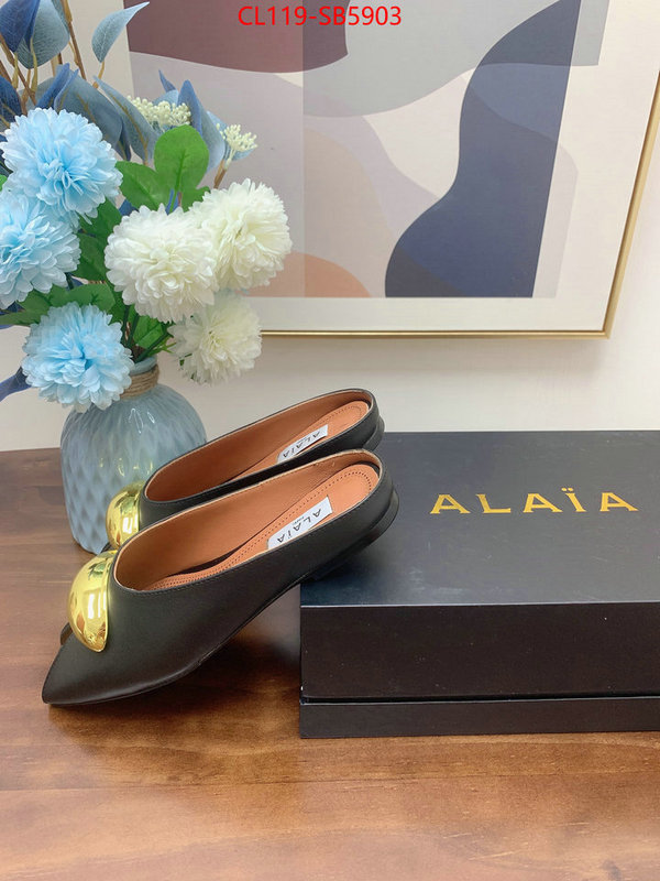 Women Shoes-ALAIA knockoff highest quality ID: SB5903 $: 119USD