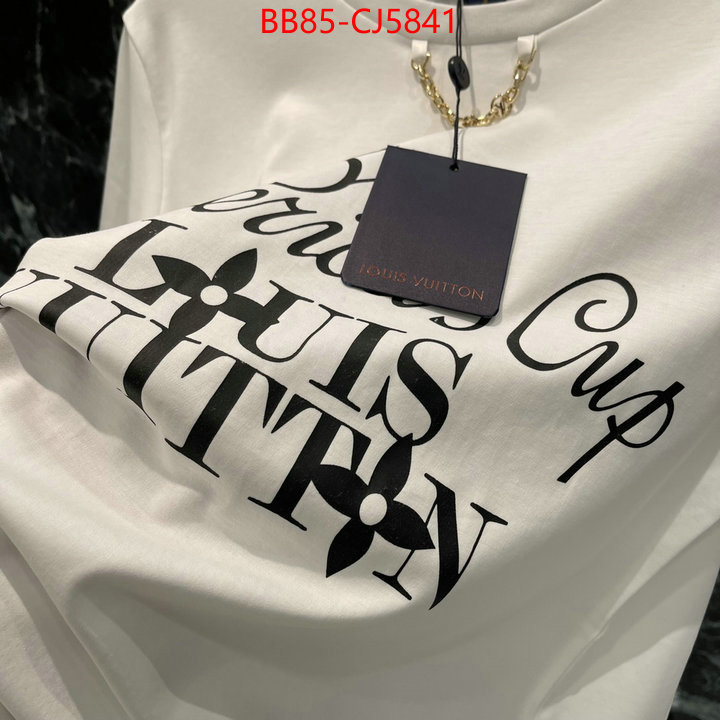 Clothing-LV china sale ID: CJ5841 $: 85USD