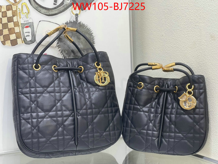 Dior Bags(4A)-Other Style- best designer replica ID: BJ7225