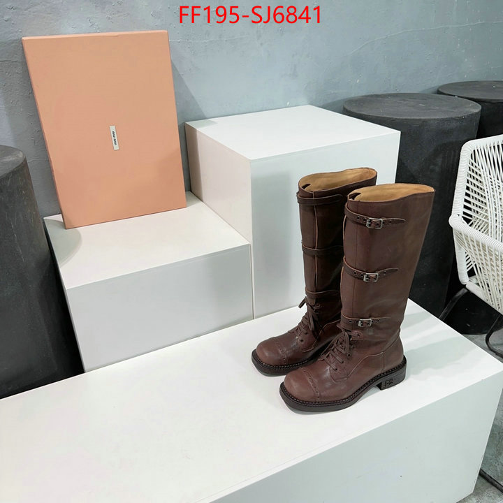 Women Shoes-Boots wholesale replica shop ID: SJ6841 $: 195USD