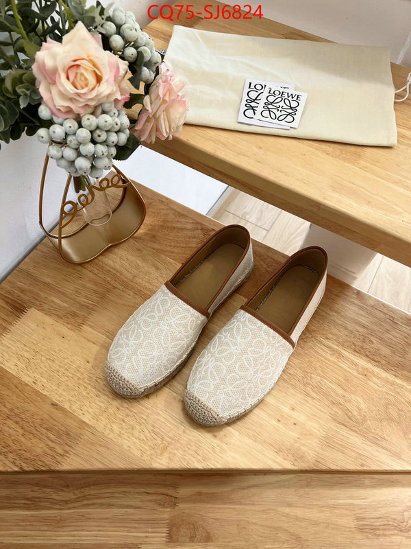 Women Shoes-Loewe best like ID: SJ6824 $: 75USD