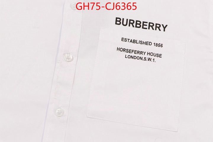 Clothing-Burberry aaaaa+ replica designer ID: CJ6365 $: 75USD