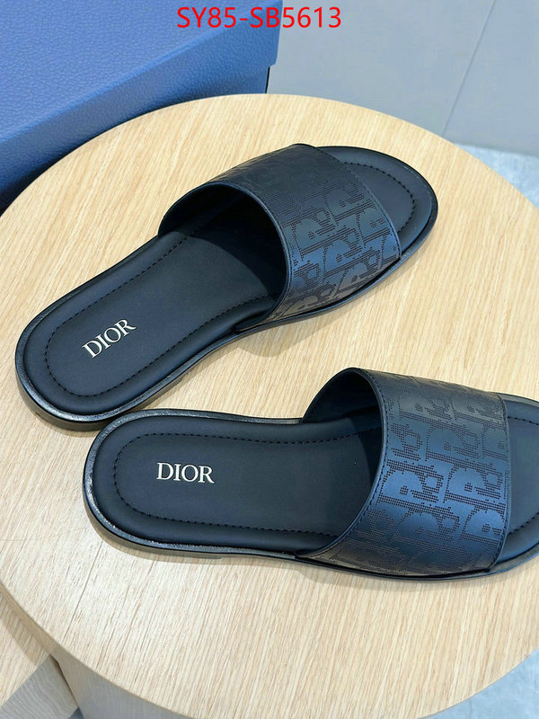 Men shoes-Dior top quality fake ID: SB5613 $: 85USD