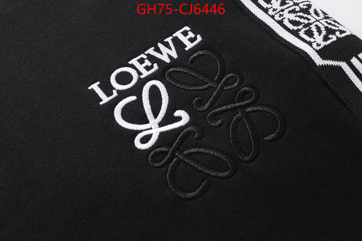 Clothing-Loewe counter quality ID: CJ6446 $: 75USD