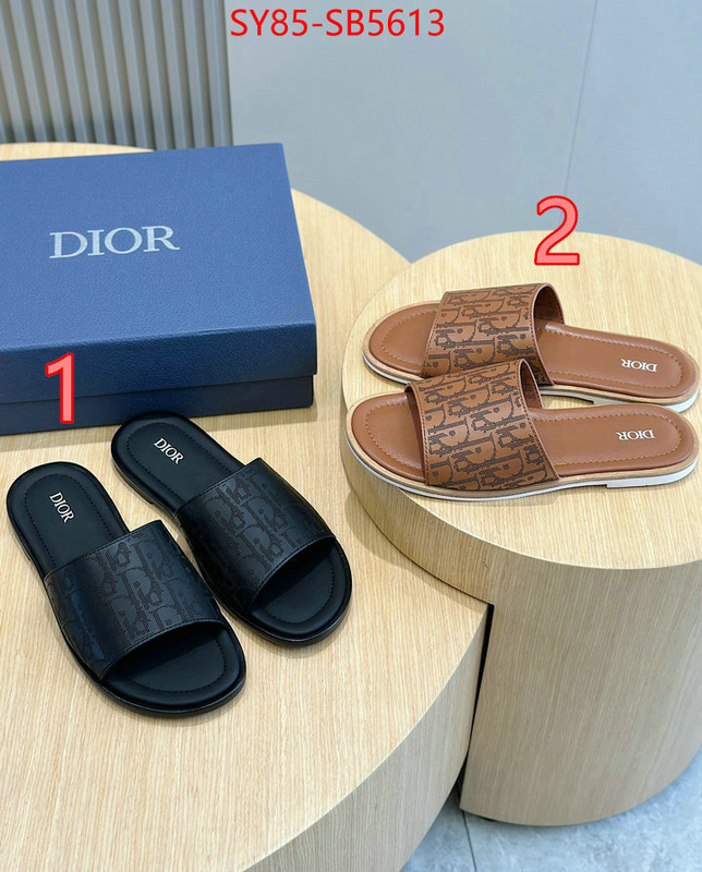 Men shoes-Dior top quality fake ID: SB5613 $: 85USD