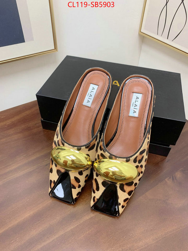 Women Shoes-ALAIA knockoff highest quality ID: SB5903 $: 119USD