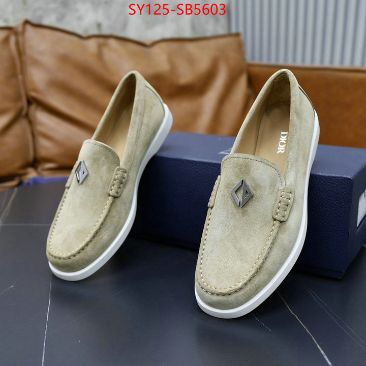 Men shoes-Dior replcia cheap ID: SB5603 $: 125USD