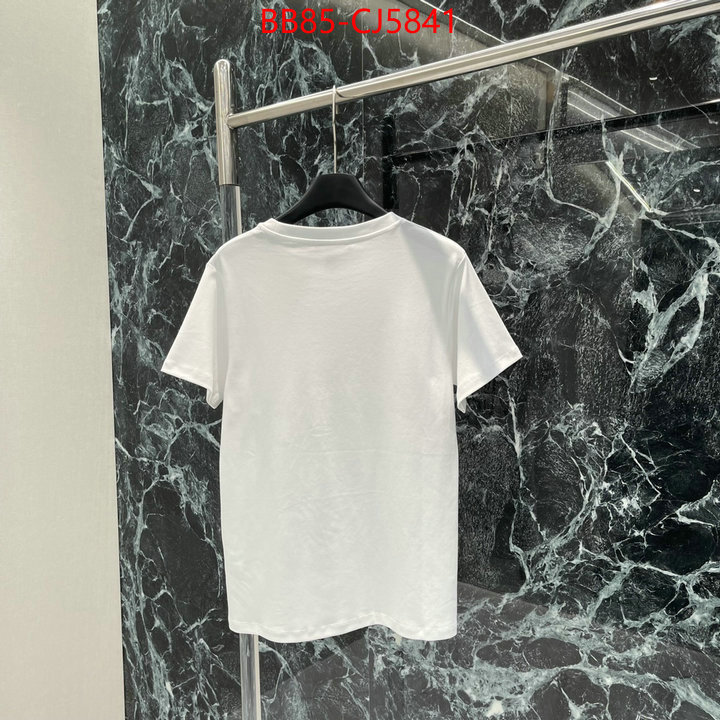 Clothing-LV china sale ID: CJ5841 $: 85USD