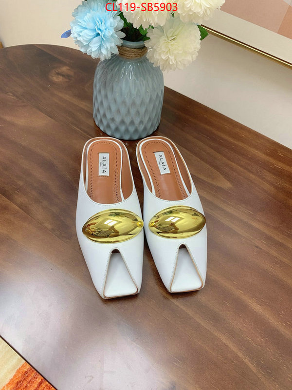 Women Shoes-ALAIA knockoff highest quality ID: SB5903 $: 119USD