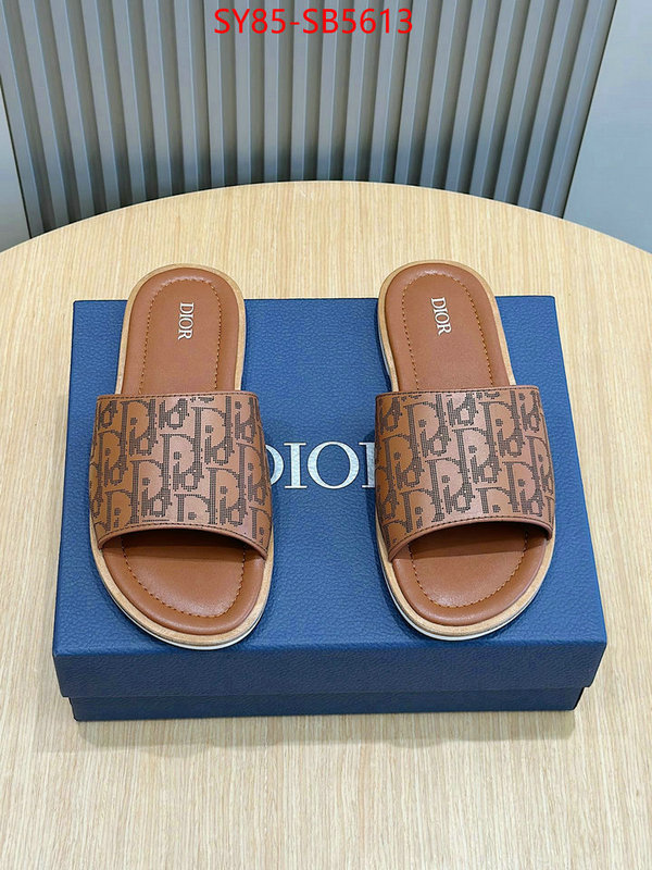 Men shoes-Dior top quality fake ID: SB5613 $: 85USD