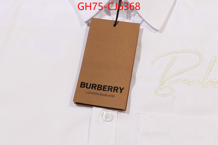 Clothing-Burberry the online shopping ID: CJ6368 $: 75USD