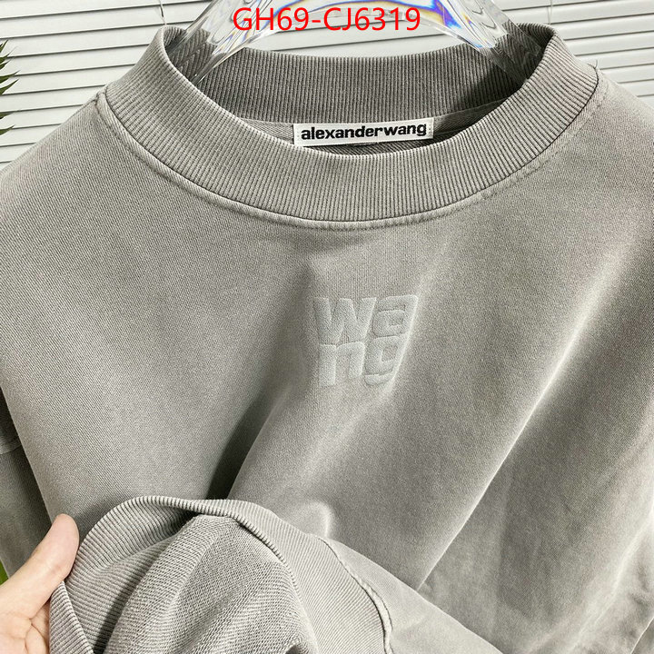 Clothing-Alexander Wang best quality designer ID: CJ6319 $: 69USD