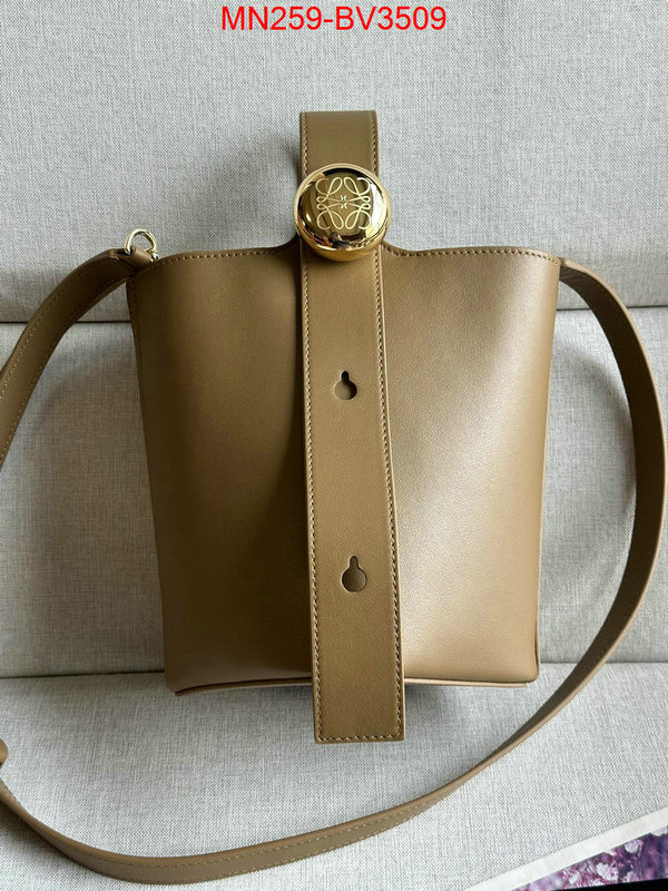 Loewe Bags(TOP)-Handbag- 2024 perfect replica designer ID: BV3509 $: 259USD,