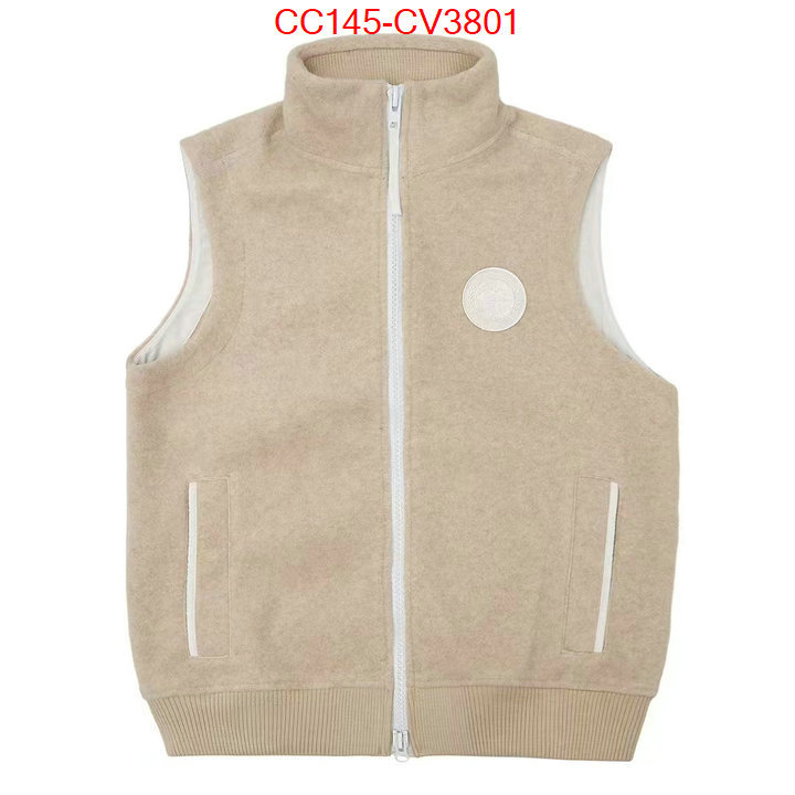 Down jacket Women-Canada Goose high-end designer ID: CV3801 $: 145USD