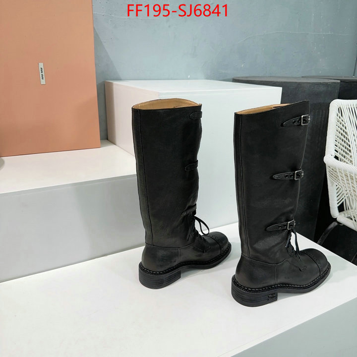 Women Shoes-Boots wholesale replica shop ID: SJ6841 $: 195USD