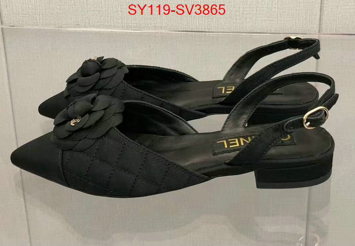 Women Shoes-Chanel mirror quality ID: SV3865 $: 119USD