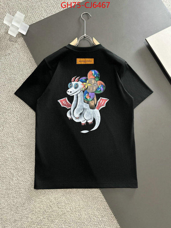 Clothing-LV 1:1 clone ID: CJ6467 $: 79USD