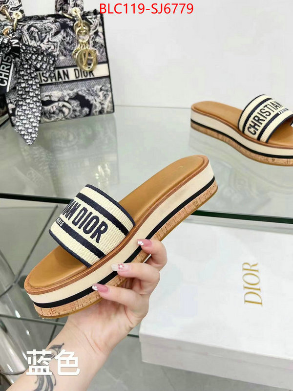 Women Shoes-Dior aaaaa replica ID: SJ6779 $: 119USD